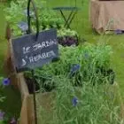 Le jardin d'herbes