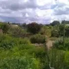 Le Jardin De Terreneuve