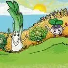 - Vallee De L'ognon
