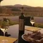 Domaine de Comiac
