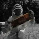 Merveille Apiculture
