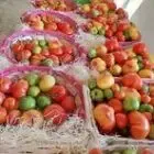 Potager de la Borde