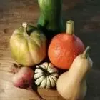 Micro Ferme de Carcouet
