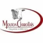 Os Mouton Charollais