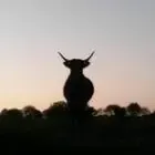 De la Fourche A la Fourchette Graziella