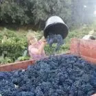 Domaine Vaquer