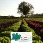 Ferme Les Causses de Cesserou