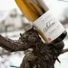 Domaine Schmitt Gérard