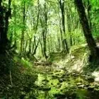 DOMAINE LES MONGES