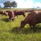La Ferme de La Vallée