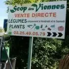 Scop Des Viennes