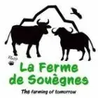 La Ferme De Souègnes
