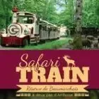 Safari Train