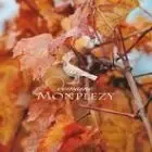 Domaine Monplezy