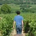 Le Petit Domaine.