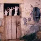 Ferme-Auberge De Poumoué