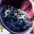 Domaine des Espérances