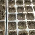 Les légumes sur l'Aure