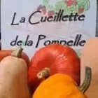 Picking Pompelle