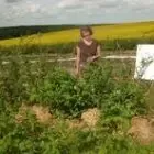 Earl De La Nature