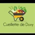 Cueillette De Duvy