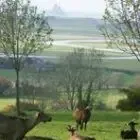 La Ferme Du Petit Changeons