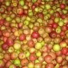 Cidre deslandes