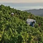 Domaine de la Rectorie