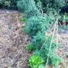 Au Jardin d'Eve