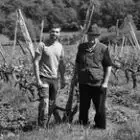Domaine Viticole du Moutherot