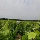 Gfa Charbonnier